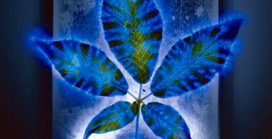 Ejercicio para observar el aura de la naturaleza